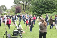 dublin-plein-air-botanic-gardens35