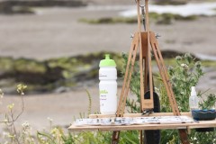 dublin-plein-air-rush14